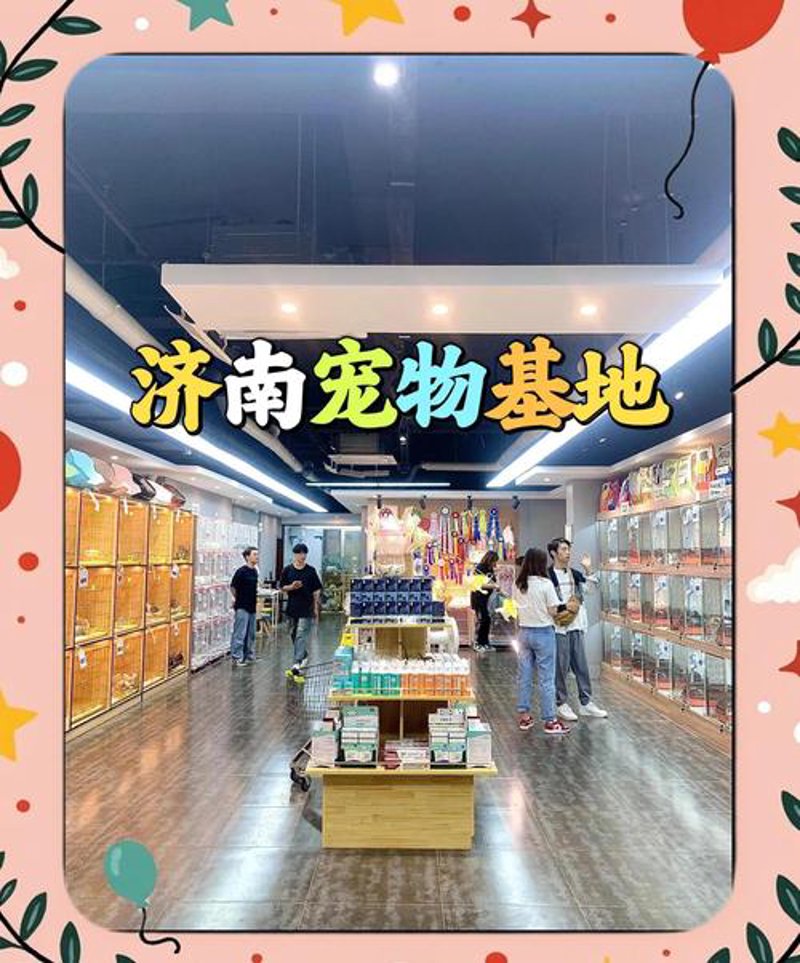 宠物玩具——快乐的小尾巴与幸福的家庭时光