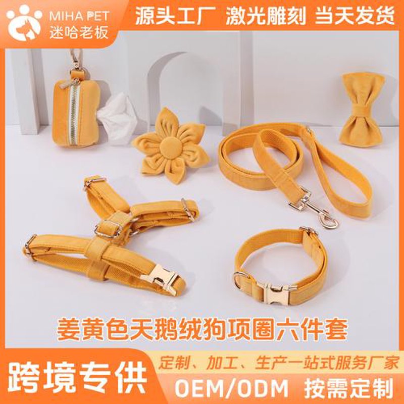 宠物零食市场风云变幻：品质与健康的双重追求
