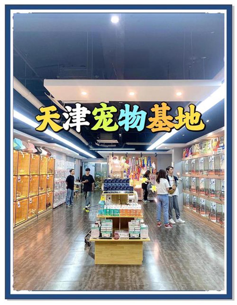 宠物用品批发迎来新趋势