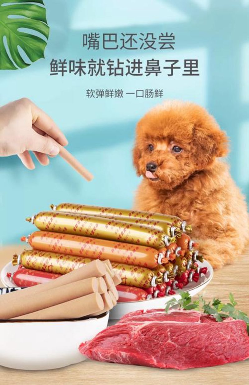 猫砂市场动态：从传统到智能