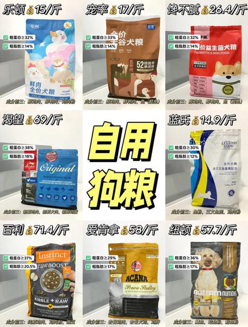 狗粮：爱情与宠物的甜蜜共享时光