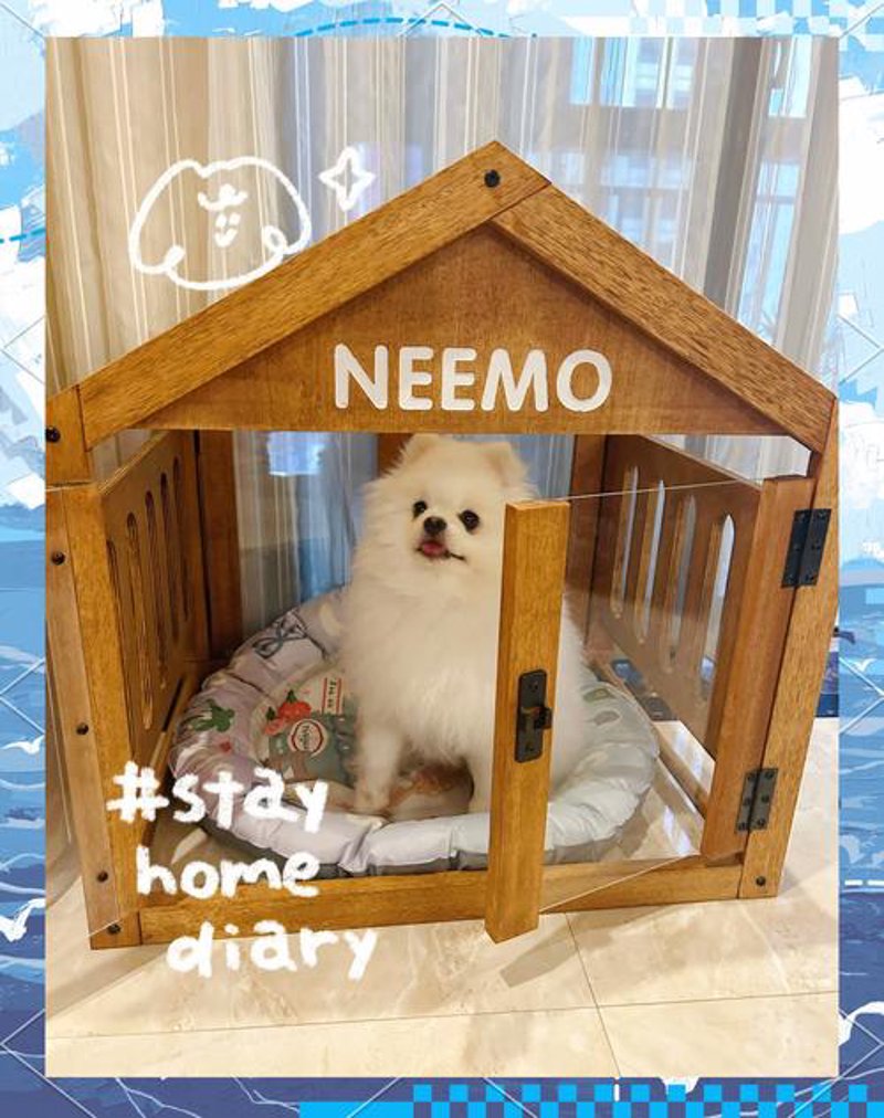 猫砂市场正在悄悄变革：从传统到智能