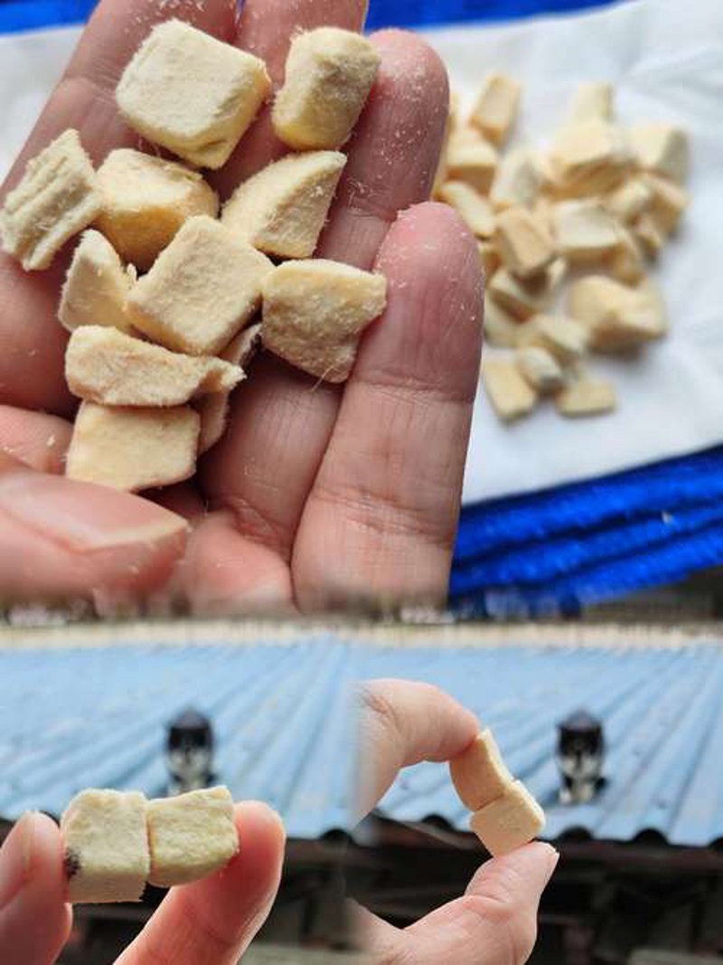 宠物玩具市场的最新动态