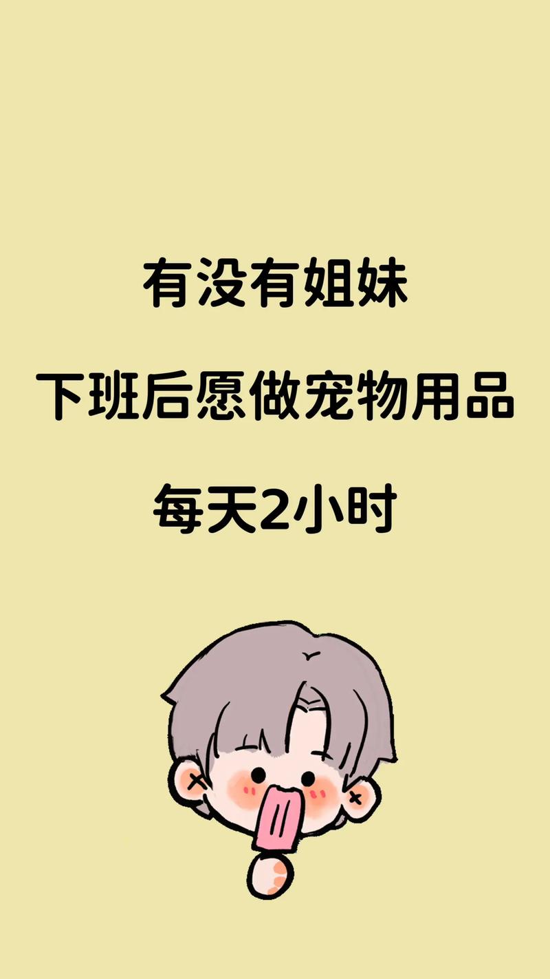 宠物用品一件代发