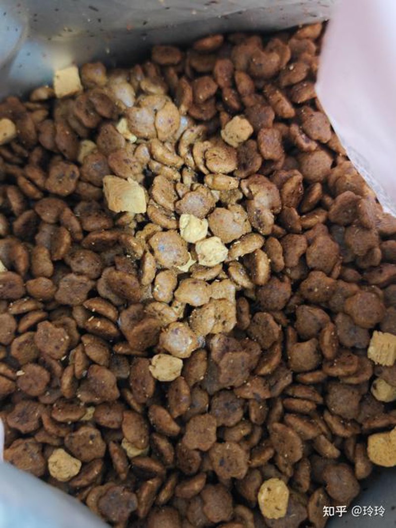 狗粮在恋爱中的妙用与艺术